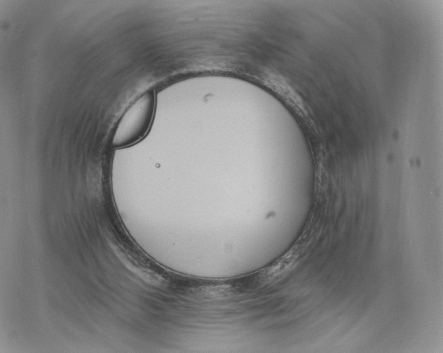 X0000072950108200608111636