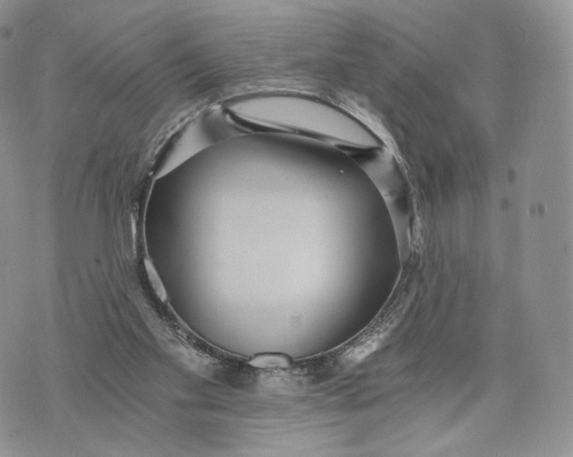 X0000072950109200608111636