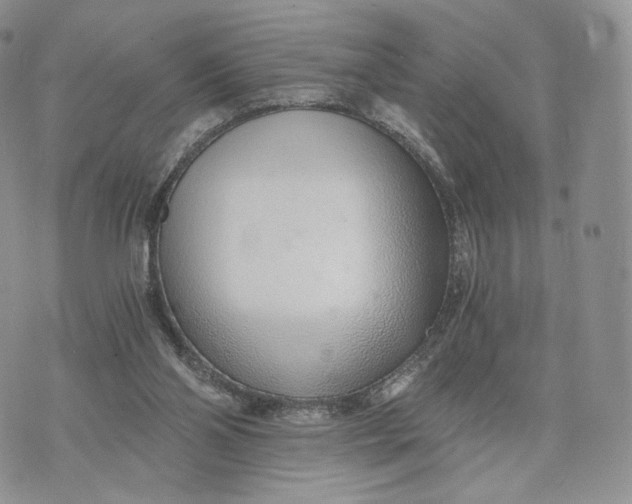 X0000072950110200608111636