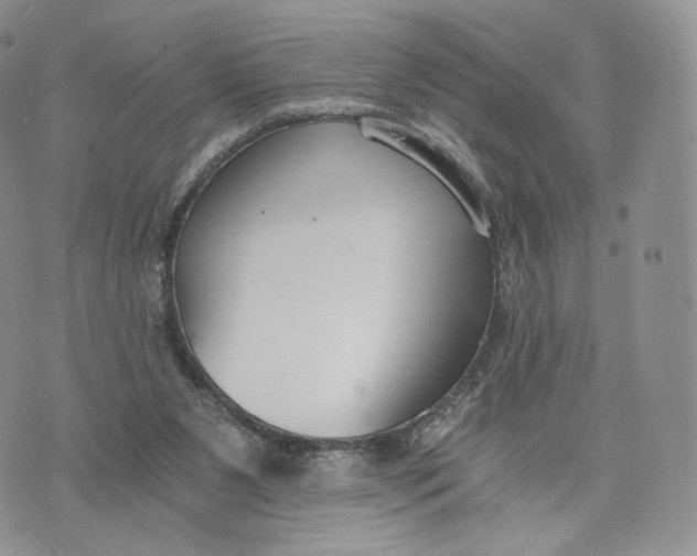 X0000072950111200608111636