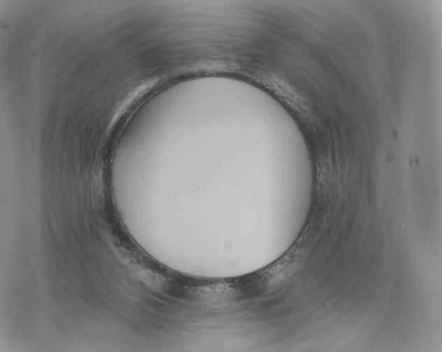 X0000072950112200608111636