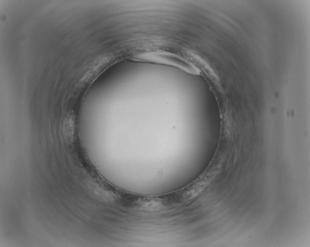 X0000072950113200608111636