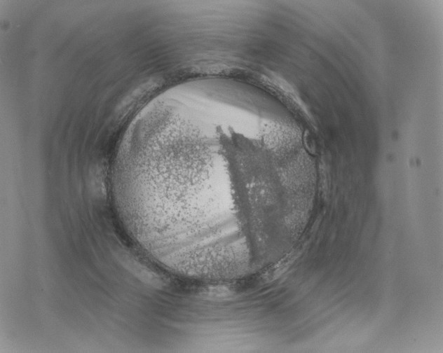 X0000072950114200608111636