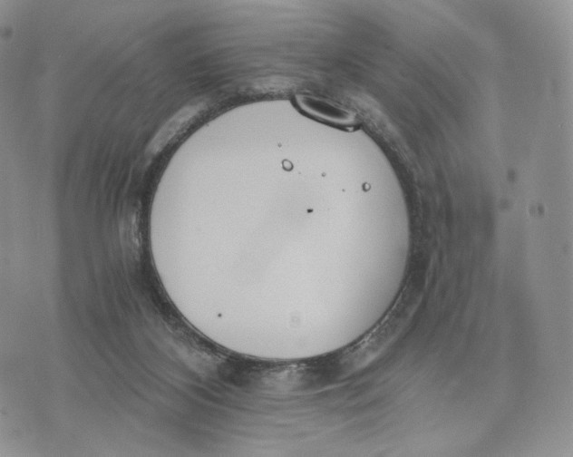 X0000072950116200608111635