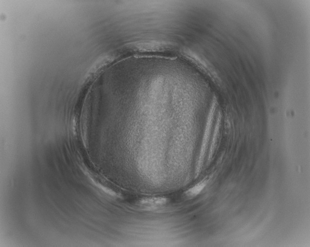 X0000072950117200608111635