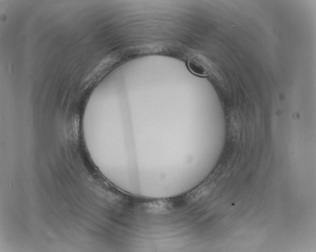 X0000072950118200608111635