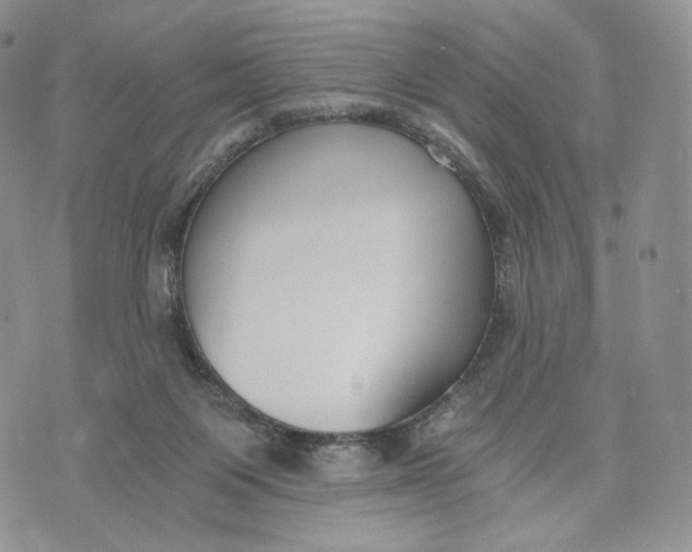 X0000072950119200608111635