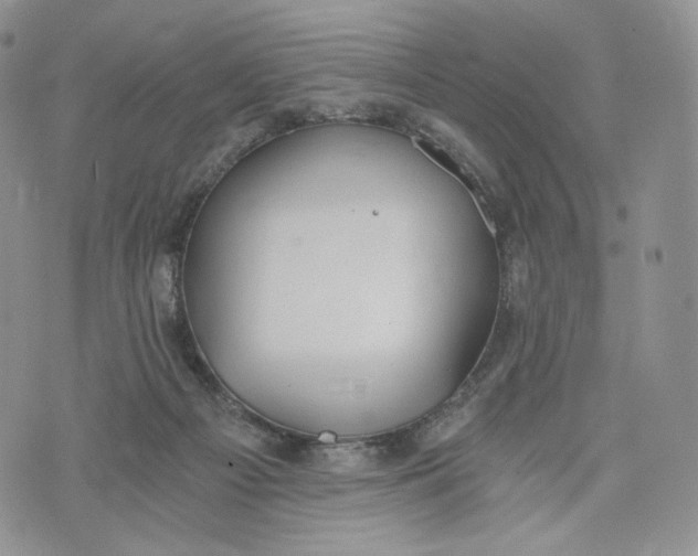 X0000072950121200608111635