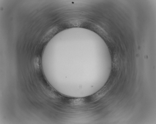 X0000072950122200608111635