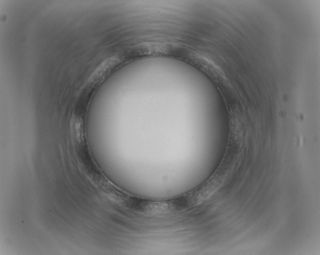 X0000072950123200608111635