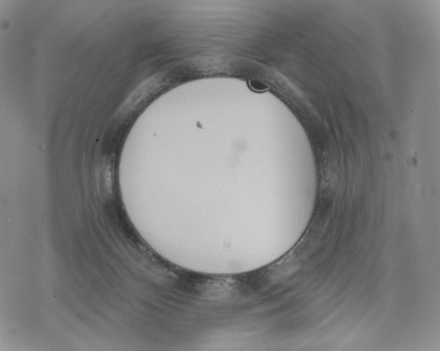 X0000072950124200608111635