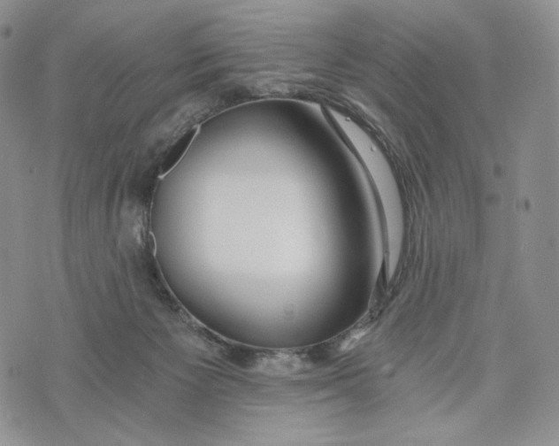 X0000072950125200608111635