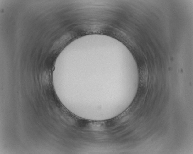 X0000072950126200608111635