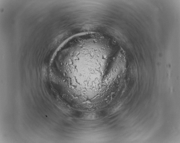 X0000072950127200608111635