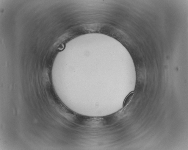 X0000072950128200608111635