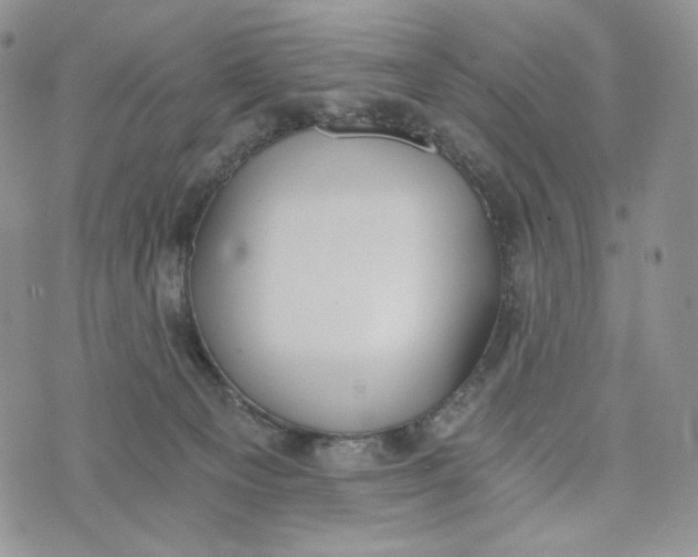 X0000072950129200608111635