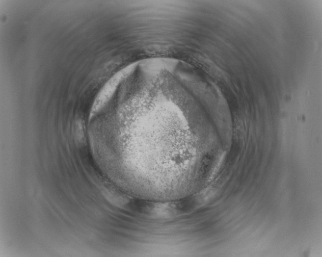 X0000072950130200608111635