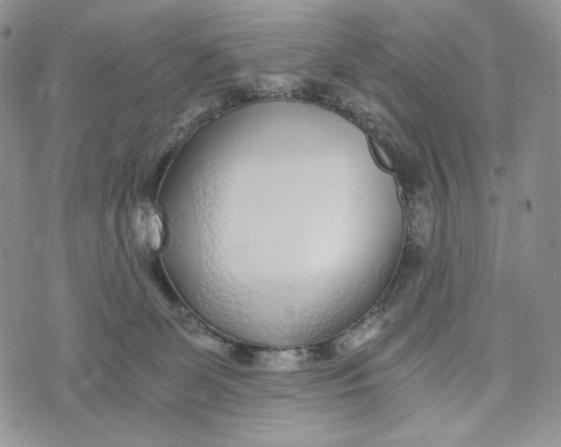 X0000072950131200608111635