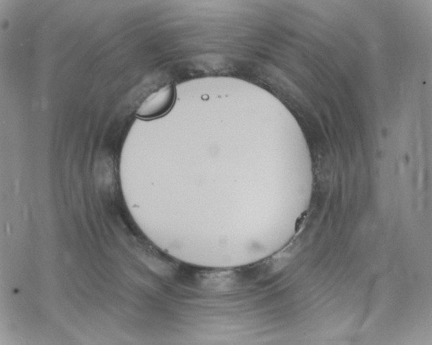 X0000072950132200608111635