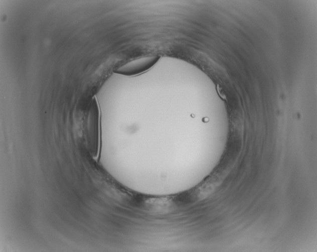 X0000072950133200608111635