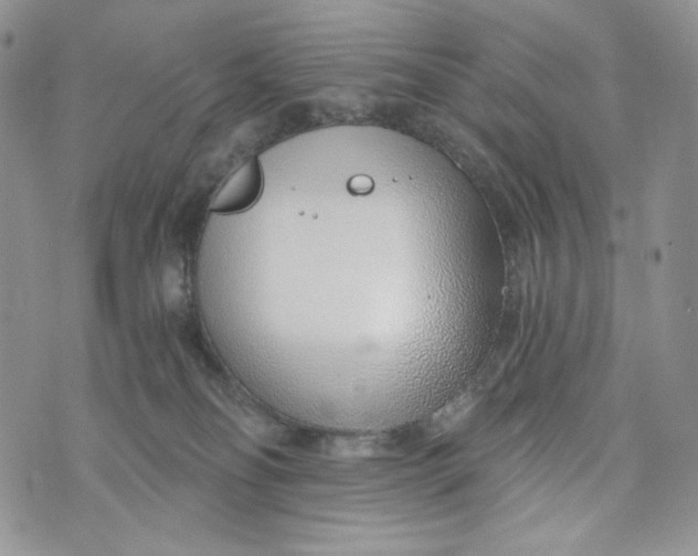 X0000072950134200608111635