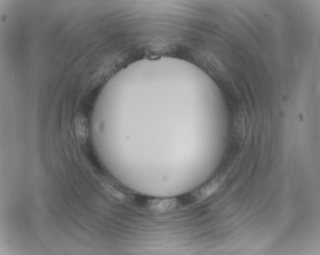 X0000072950135200608111635