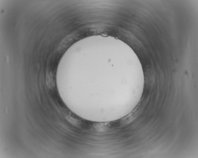 X0000072950136200608111635