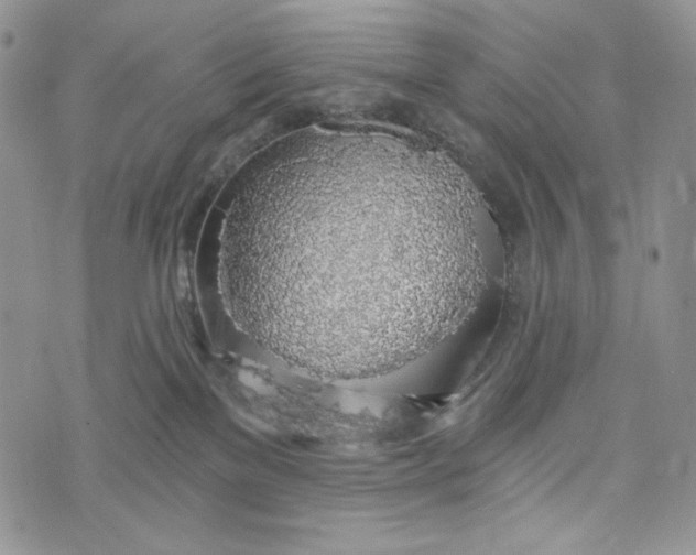 X0000072950137200608111635