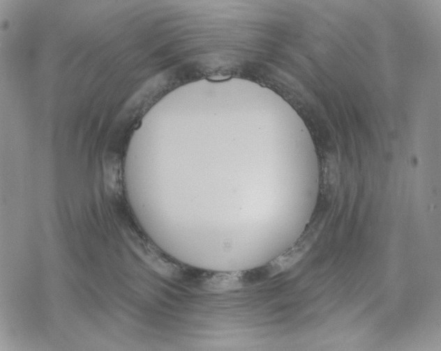 X0000072950138200608111635