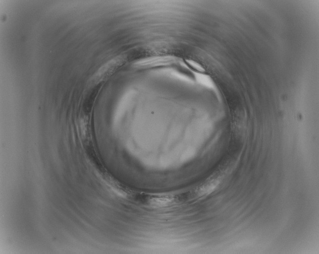 X0000072950139200608111635