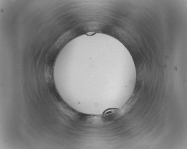 X0000072950140200608111635