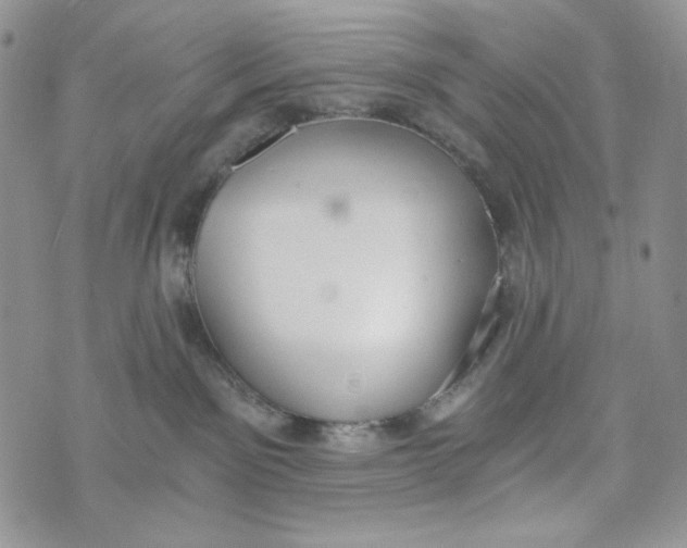 X0000072950141200608111635