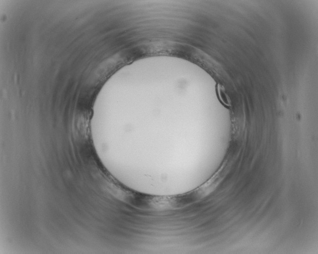 X0000072950142200608111635