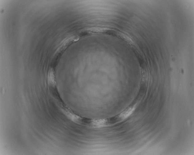 X0000072950143200608111635