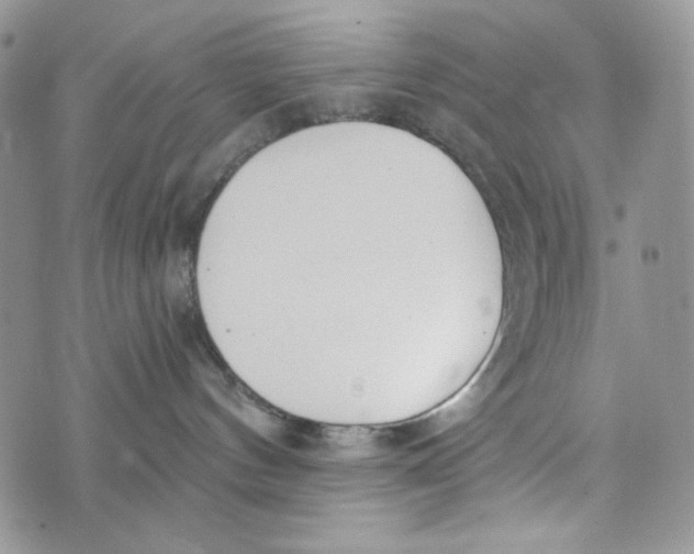 X0000072950144200608111635