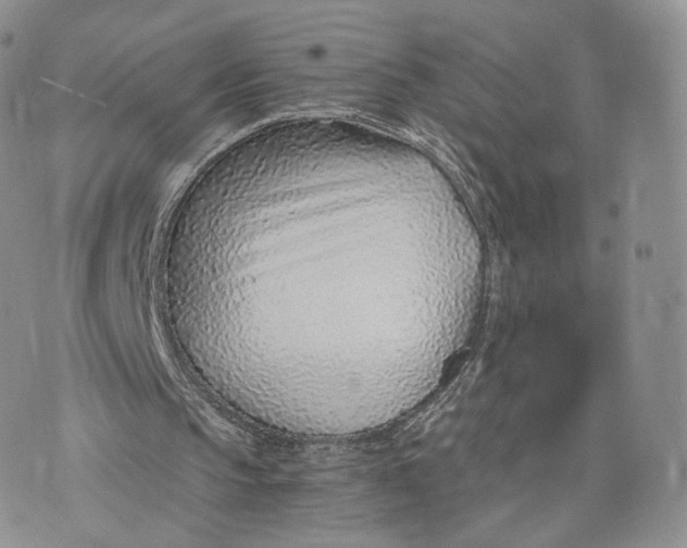 X0000072950145200608111634