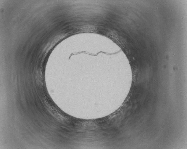 X0000072950146200608111634