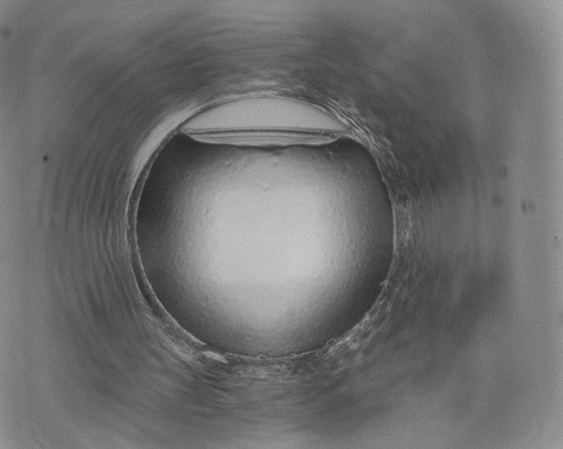 X0000072950147200608111634