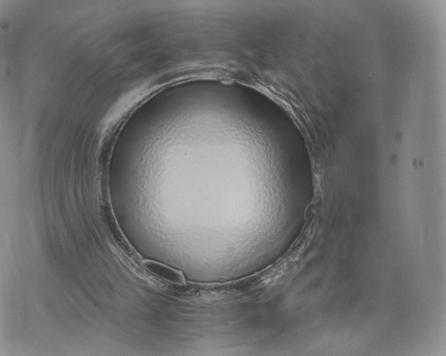 X0000072950149200608111634