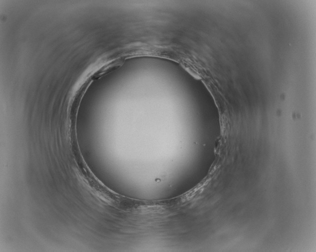 X0000072950150200608111634