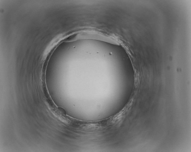 X0000072950151200608111634