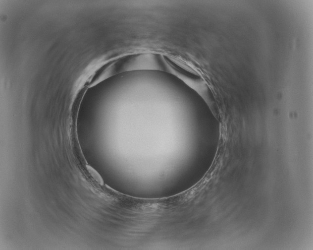 X0000072950152200608111634