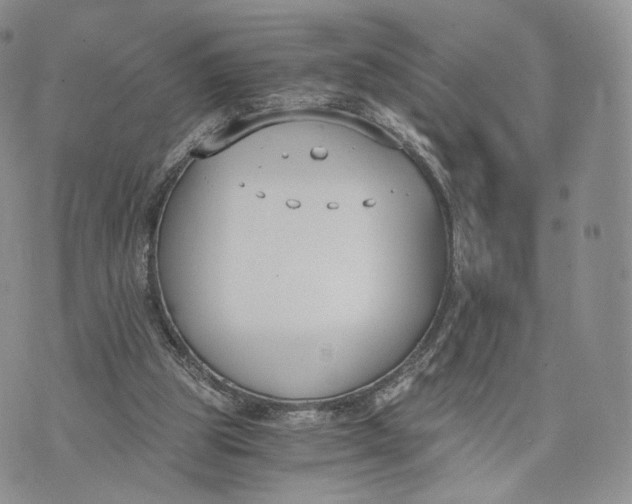 X0000072950153200608111634