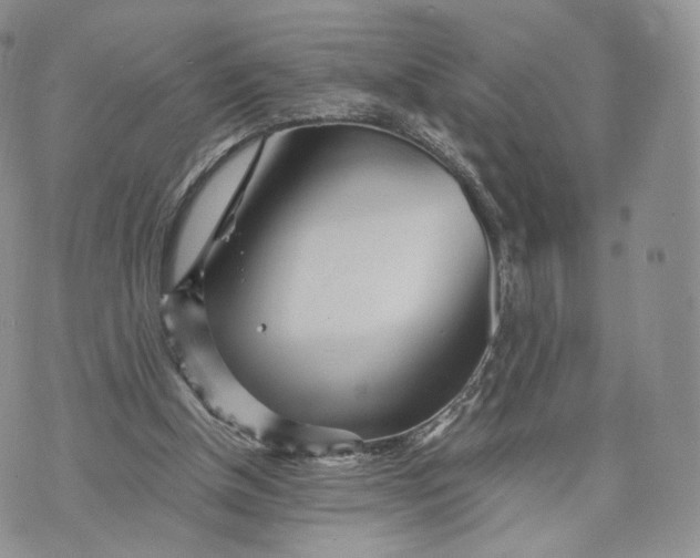 X0000072950154200608111634