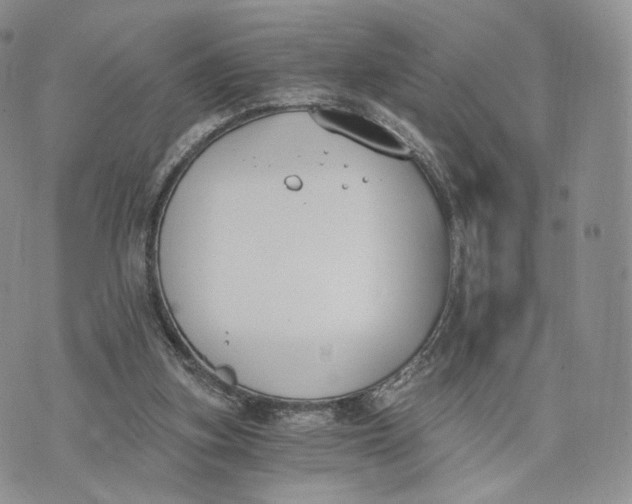 X0000072950155200608111634