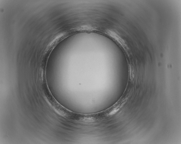 X0000072950157200608111634