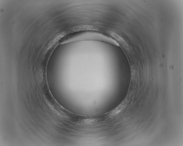 X0000072950158200608111634