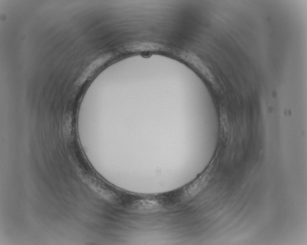 X0000072950159200608111634