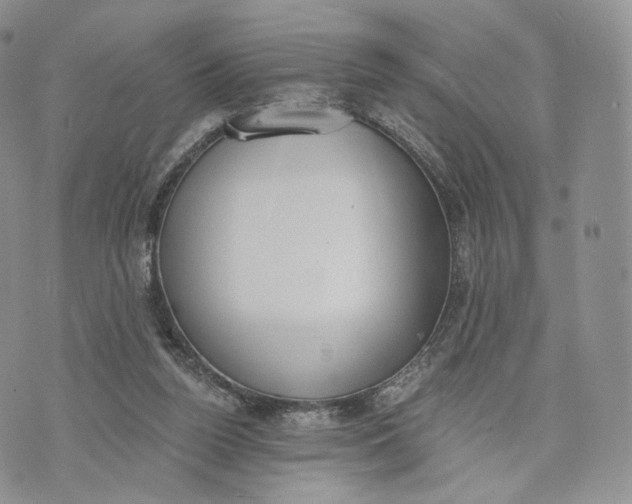 X0000072950160200608111634