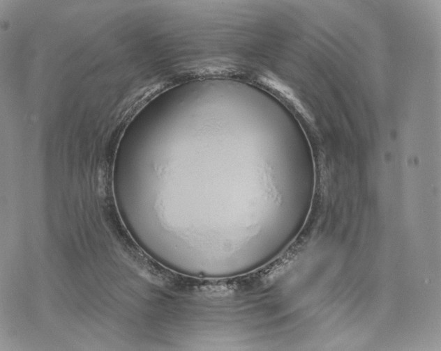 X0000072950161200608111635